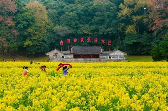 廈門包車-廈門旅游包車-廈門租車-廈門商務(wù)旅游包車-春游路線之古田會(huì)議舊址-千畝油菜花.jpg