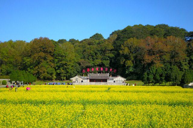 廈門包車-廈門旅游包車-廈門租車-廈門商務(wù)旅游包車-春游路線之古田會(huì)議舊址-千畝油菜花-2.jpg